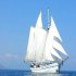 Bild: Leadership Future Sail
